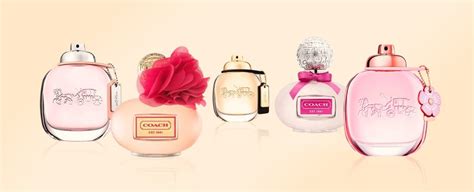 coach perfume best seller